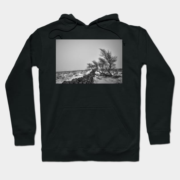 Windswept Lone Tree Hoodie by richard49